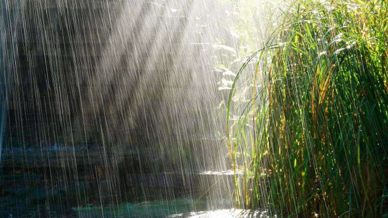 Bønner som skal leses opp for regnvannet! Er helbredet i april? Fordeler med aprilregn