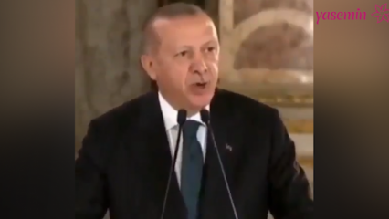 President Erdoğan: Kunstnerne som strømmet sin politiske side i polemikk, opprørte oss