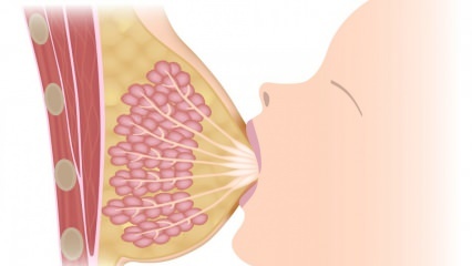 Hva er mastitt (brystbetennelse)? Mastitt symptomer og behandling under amming