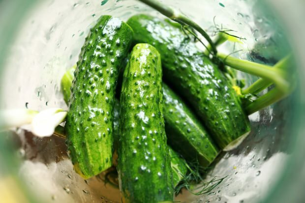 Hvordan lage agurk pickles hjemme? Triksene til sylting