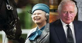 Kong III. Dronning Charles II Manglende respekt for Elizabeths arv! Vinneren vil selge hestene