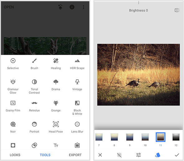 En Snapseed-meny til venstre viser 20 forskjellige verktøy, og et Snapseed-filtereksempel til høyre viser a bilde av to ville kalkuner som går i gyldent gress og en meny med filtre på bunnen av en mobilskjerm.