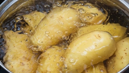 Hvordan konsumere rå potetsaft for slanking?