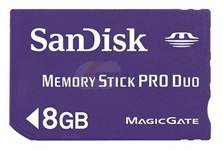 Dandisk Memory Card 8 GB