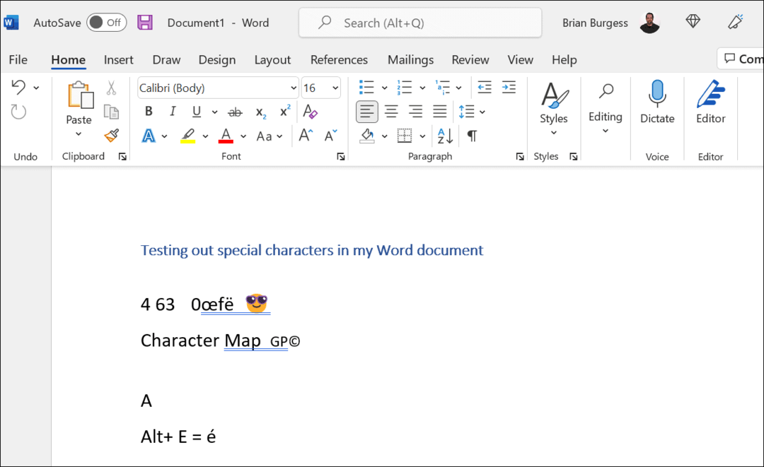 skriv inn spesialtegn i Windows 11