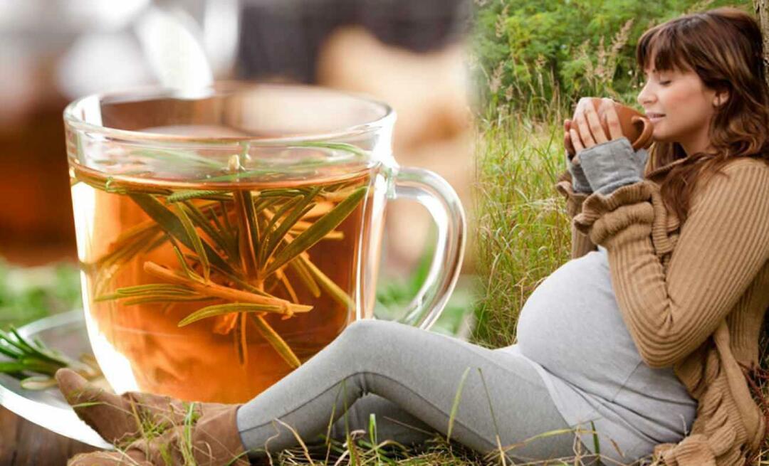 Kan gravide drikke vinterte? Hvilken te bør drikkes under graviditet? vinterteer for gravide
