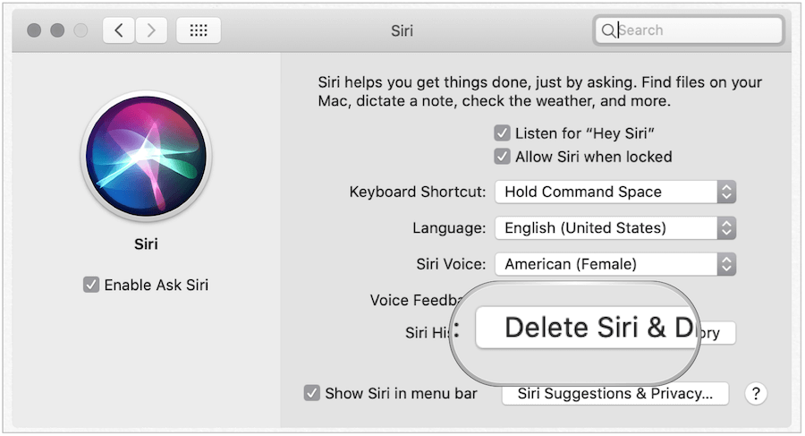 Slett Siri History på Mac