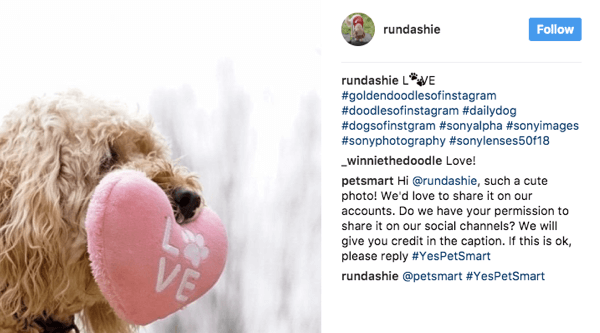 PetSmart leser en rekke kjæledyrrelaterte hashtags og ber fans om tillatelse til å bruke relevante bilder i markedsføringen.