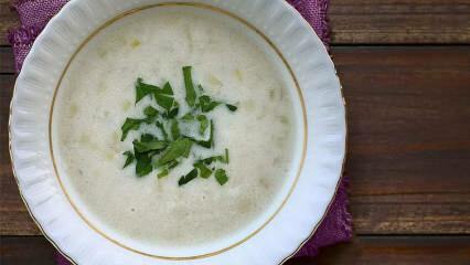 Hvordan lage den enkleste purre suppe? Knep av purre suppe
