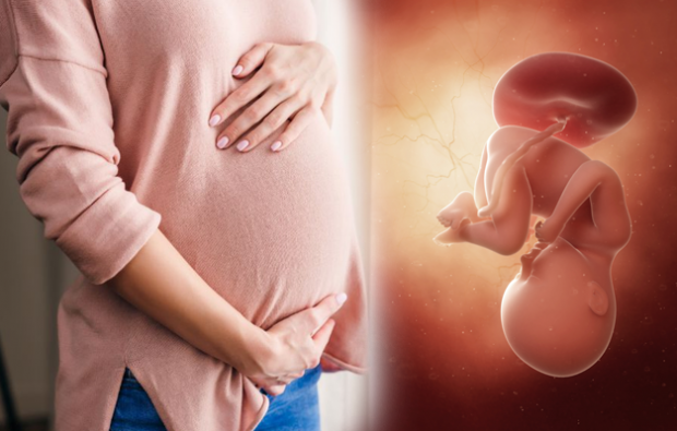 Hva er symptomene på graviditet? Symptomer på tidlig graviditet