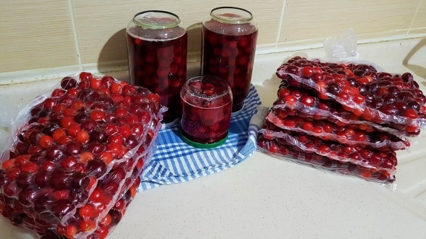 lagringsmetoder for sur kirsebær