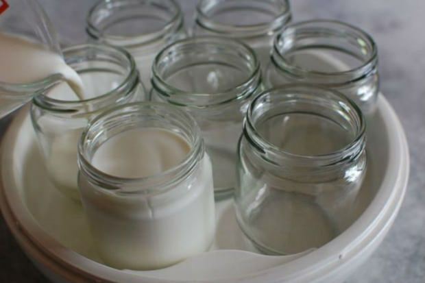 yoghurt fra landsmelk