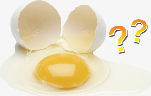 Enten eggeplommen eller den hvite er fordelaktig