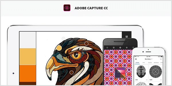 Adobe Capture oppretter en palett fra et bilde du tar med en mobilenhet. Nettstedet viser en illustrasjon av en fugl og en palett laget av illustrasjonen, som inkluderer lys grå, gul, oransje og rødbrun.