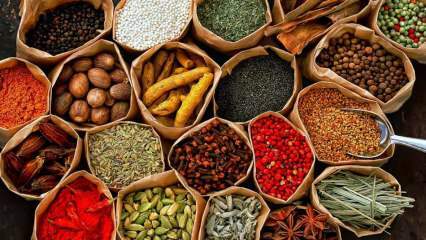 Hvordan skal krydder lagres? Hva er betingelsene for lagring av krydder?