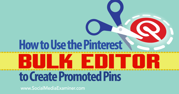 promoterte pins og pinterest bulk editor verktøy