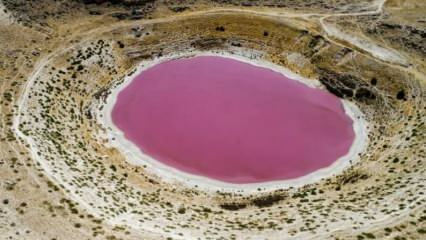 Fargen på Meyil Obruk Lake er blitt rosa!