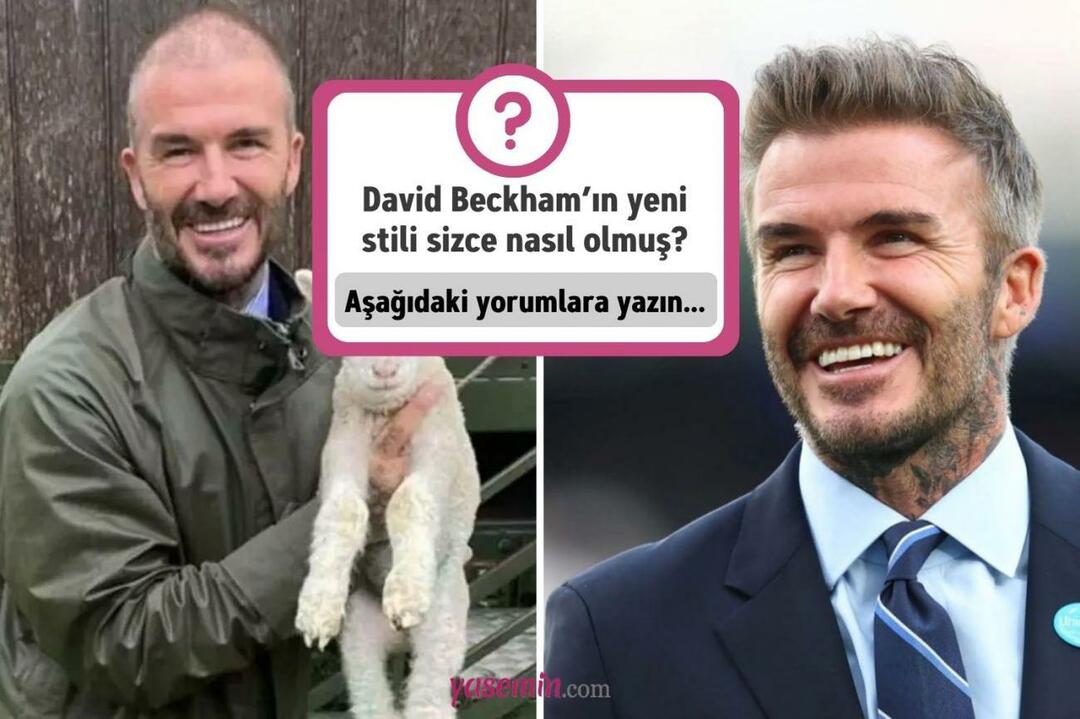 Hva synes du om David Beckhams transformasjon?
