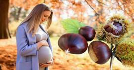 Kan gravide spise kastanjer? Fordeler med å spise kastanjer under graviditet for babyen og moren