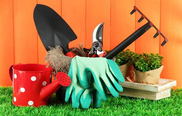 hvordan du rengjør hagen