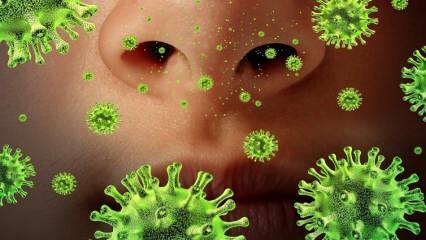 Gjenoppstå: Hva er Sars-viruset og hva er symptomene på det? Hvordan overføres Sars-viruset?
