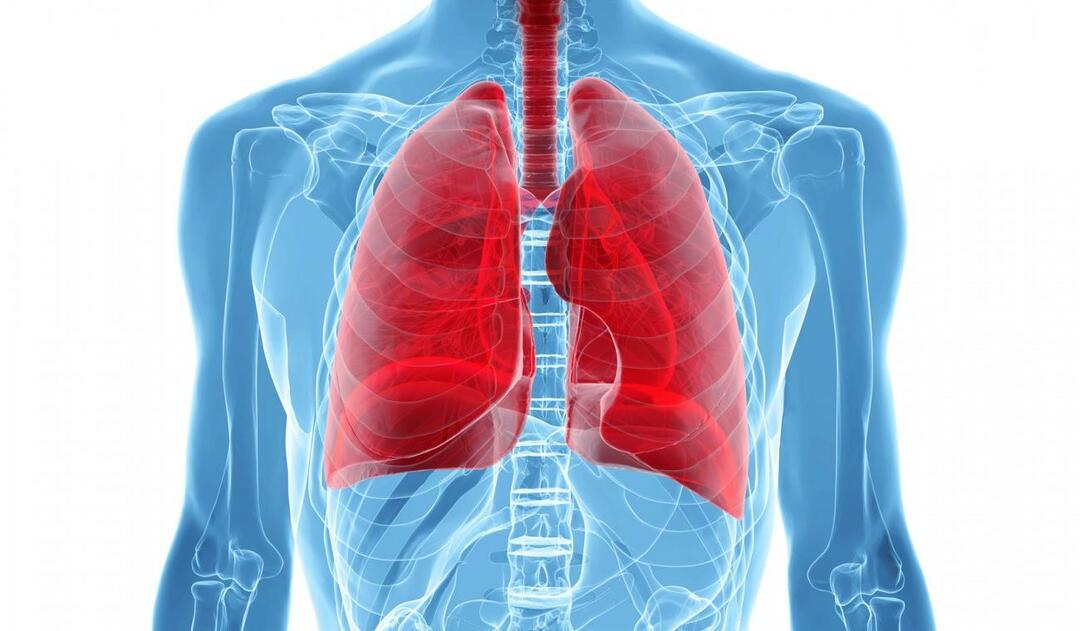 Hva er White Lung Syndrome og hva er dets symptomer? Hva er behandlingen for White Lung Syndrome?