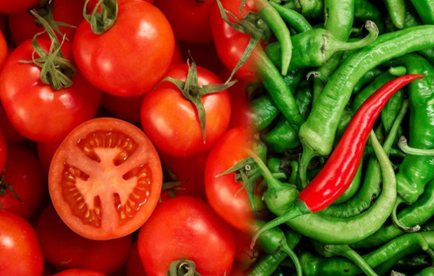 Svekkes tomat og pepper