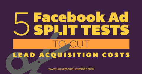 fem facebook ad-delt tester