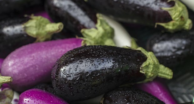 Hvordan kosthold med glær aubergine? Miraklet med 3-dagers stekt aubergine