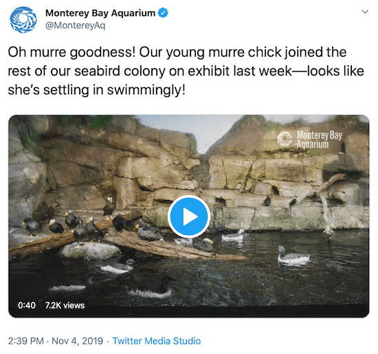 tweet fra Monterey Bay Aquarium som et eksempel på et merkevares sosiale medierstemme
