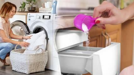Hva er det beste vaskemiddelet for hvite? Beste vaskemiddelanbefalinger! Det beste pulvervaskemiddelet