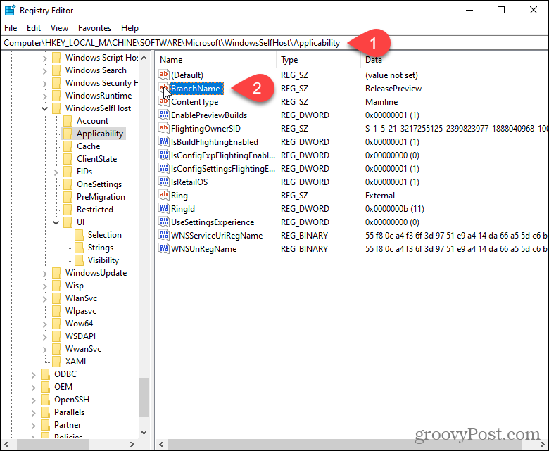 Dobbeltklikk BranchName-nøkkelen i Windows-registeret