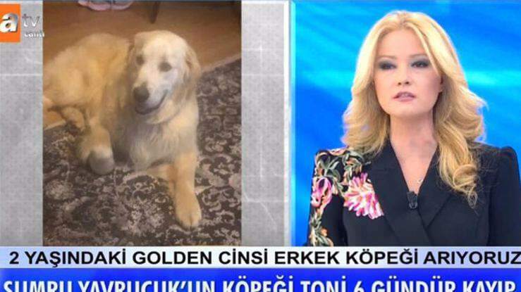 Presentator Müge Anlı kunngjorde: Hunden til skuespilleren Sumru Yavrucuk ble funnet ...