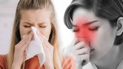 Hva er allergisk rhinitt? Hva er symptomene på allergisk rhinitt? Finnes det en behandling for allergisk rhinitt?
