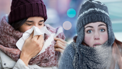 Hva er en kald allergi? Hva er symptomene på en forkjølelsesallergi? Hvordan går en kald allergi?