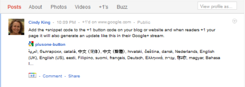 google +1-kodebitoppdatering