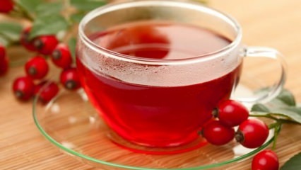 Hva er fordelene med rosehip? Hvordan brygge rosehip te?