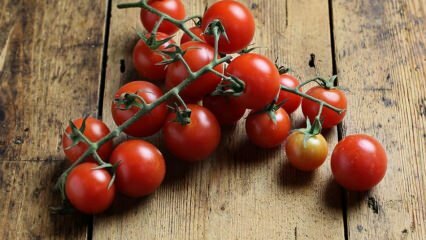 Hvordan forhindre tomatrot? Hvordan forhindre tomatmøl? 