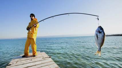 Hvordan fiske? Hva er triksene med å fiske med fiskestang?