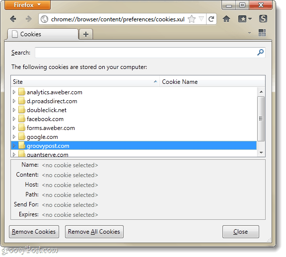 Firefox 4 cookie manager