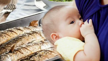 Kan fisk spises under amming?