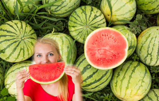 hva er vannmelon diett