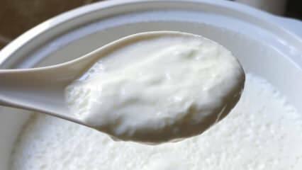 Hva er den enkle måten å brygge yoghurt på? Å lage yoghurt som stein hjemme! Fordelen med hjemmyoghurt