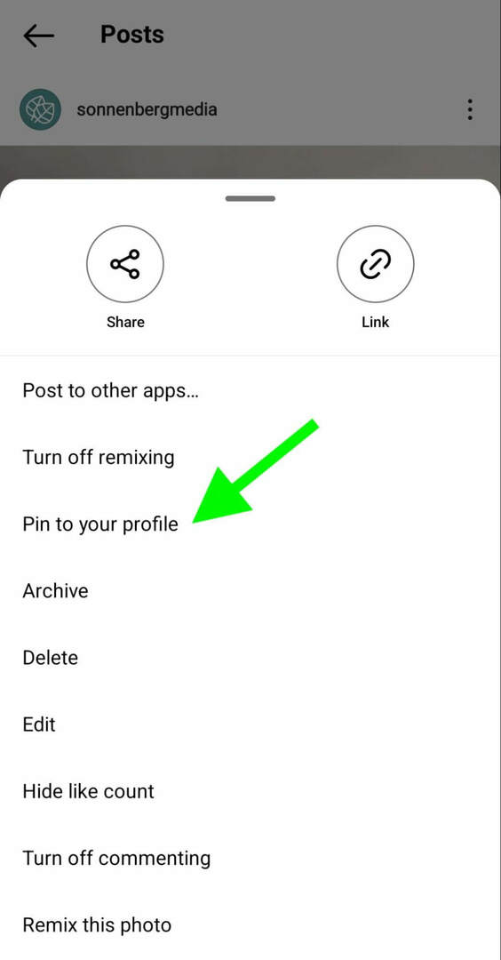 how-to-instagram-pin-posts-profile-grid-sonnenbergmedia-step-1