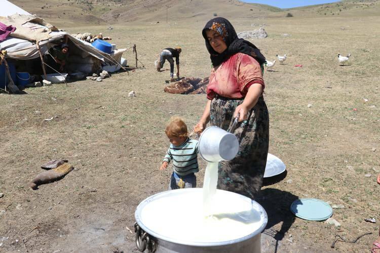 Utfordrende "melk" -reise fra nomadekvinner på esler!