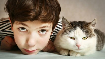 Hva er effekten av kjæledyr på barn?