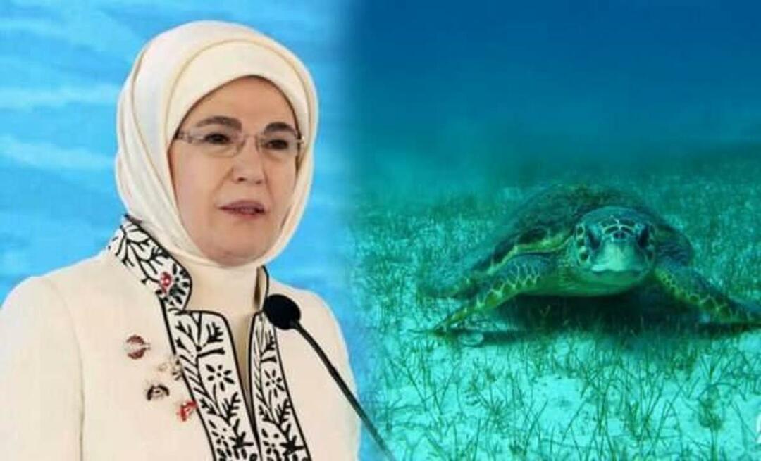Deler "havskilpadde" fra Emine Erdoğan: "Så lenge vi beskytter dem, vil de fortsette å leve"
