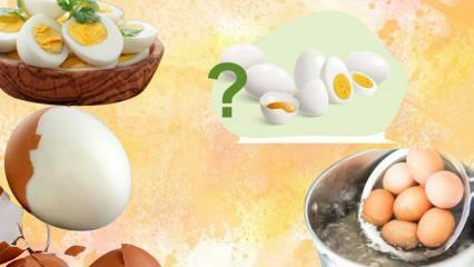 Kokt egg diett! Holder egget deg mett? 12 kilo på en uke 