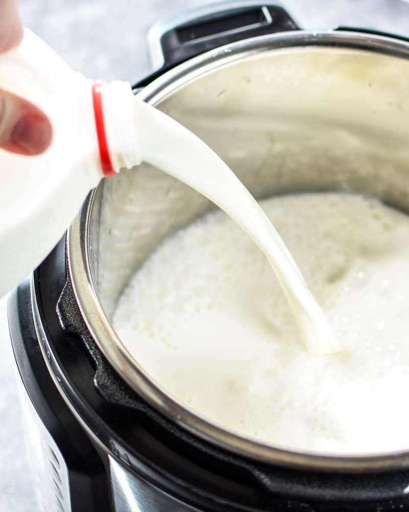 Det er vanskelig å holde konsistensen av vannbøffel yoghurt