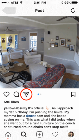 Hvis Nest ønsket å kontakte denne Instagram-brukeren for å få tillatelse til å bruke innholdet deres, kan de starte kommunikasjon ved å trykke på direktemeldingsikonet.